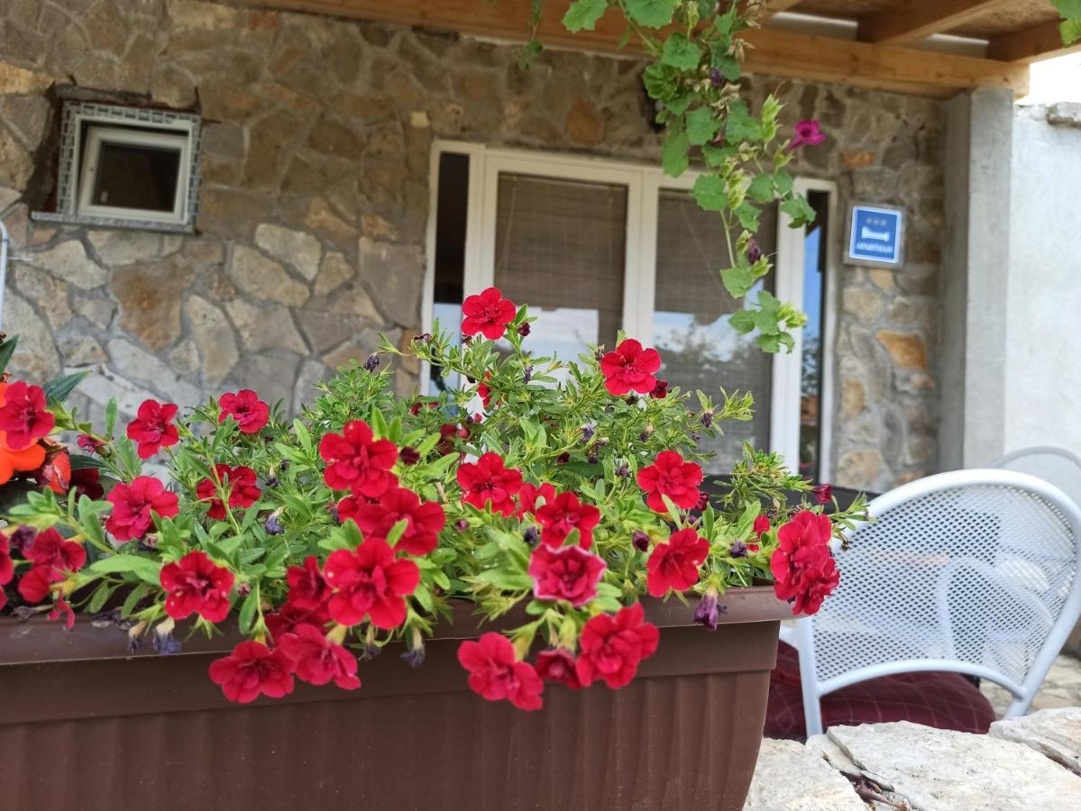 Mare Apartment Babin Dub Plocanski