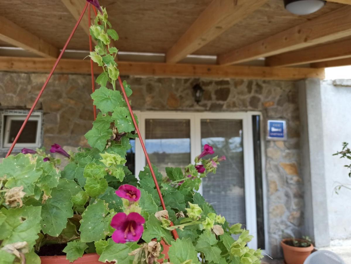 Mare Apartment